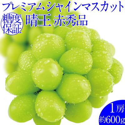 ふるさと納税 岡山市 2026年 9〜10月発送 プレミアム シャインマスカット 晴王 1房 約600g 赤秀品 岡山県産