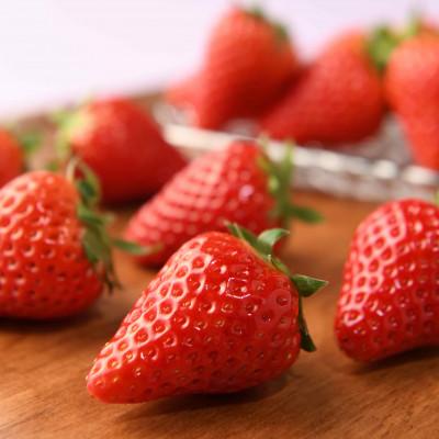 ふるさと納税 袋井市 袋井市産 JA遠州中央 きらぴ香 いちご 2パック