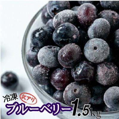 ふるさと納税 四万十町 【訳アリ】四万十町産 冷凍 ブルーベリー1.5kg