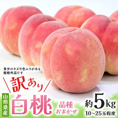 ふるさと納税 中山町 [2026年度先行予約]☆フルーツ王国山形☆ご自宅用白桃 約5kg(10〜25玉) 品種おまかせ