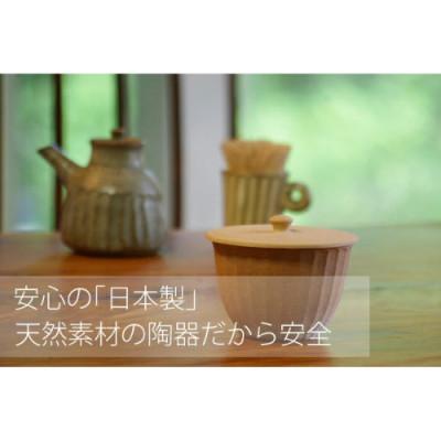 ふるさと納税 益子町 【益子焼】 塩壺・ソルトポット【大】魔法のよう