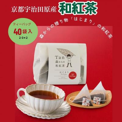 ふるさと納税 宇治田原町 森からの和紅茶 はじまり(20袋入2個組)