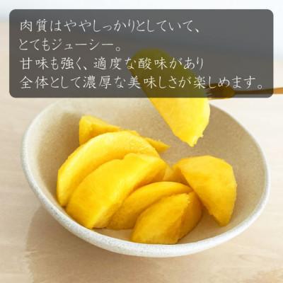 ふるさと納税 山形県 【令和8年産先行受付】山形県産 黄金桃 秀品 約3kg※玉数おまかせ 柔らかくなる桃の画像