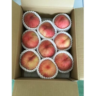 ふるさと納税 山形県 【令和8年産先行受付】山形県産白桃 秀品 約3kg(品種おまかせ) 柔らかくなる桃の画像