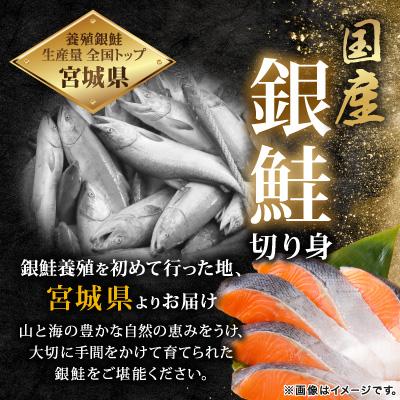 ふるさと納税 女川町 訳あり 宮城県産 銀鮭 剥き身 甘塩 約3kg 国産/三陸 女川町
