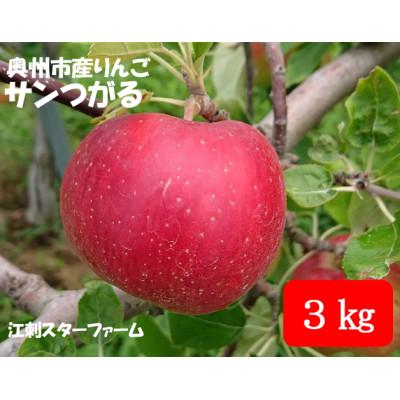 ふるさと納税 奥州市 [スターファーム] こだわり栽培の サンつがる 厳選品 3kg 岩手県奥州市産りんご [AY005]