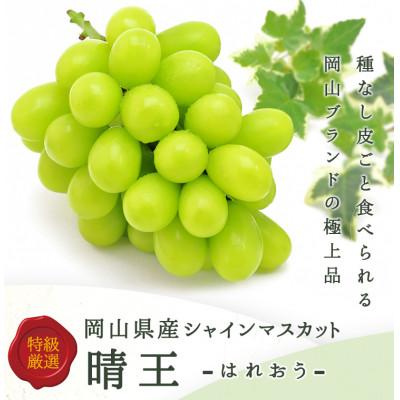 ふるさと納税 倉敷市 岡山県産 シャインマスカット『晴王』2房(1房480g以上) 化粧箱入り
