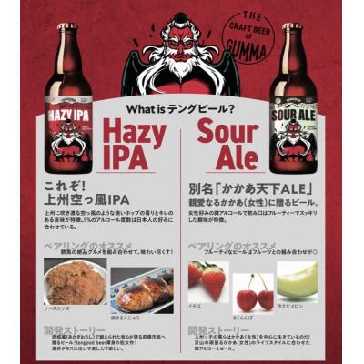 ふるさと納税 前橋市 TENGOOD BEER 同一銘柄12本セット