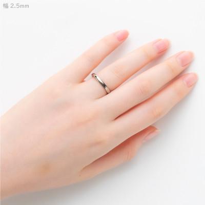 ふるさと納税 弥彦村 純チタン甲丸リング(幅2.5mm)12号_1