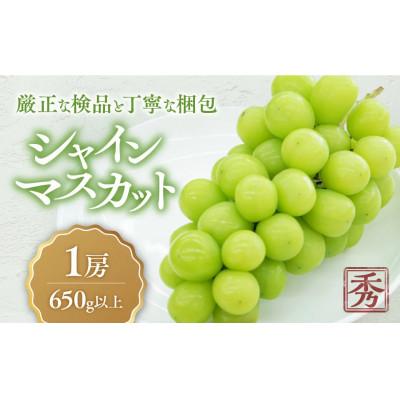 ふるさと納税 甲斐市 [2026年発送]こだわり シャインマスカット 1房 650g以上