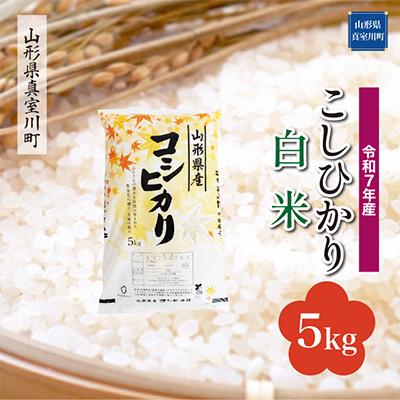 ふるさと納税 真室川町 [令和7年産米] こしひかり[白米]5kg(5kg×1袋)◆RR7K05M-H