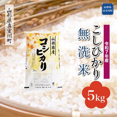 ふるさと納税 真室川町 [令和7年産米] こしひかり[無洗米]5kg(5kg×1袋)◆RR7K05M-M