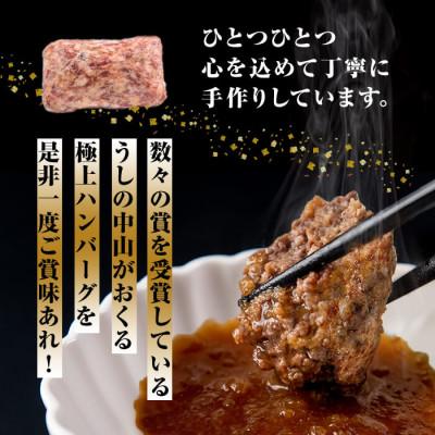ふるさと納税 志布志市 A4・A5等級 鹿児島県産 黒毛和牛 100%使用 極上手ごねハンバーグ 計4.5kg d0‐033_2