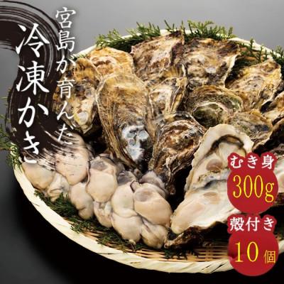 ふるさと納税 廿日市市 (加熱用)宮島が育んだ冷凍かき(むき身300g+殻付き10ヶ)