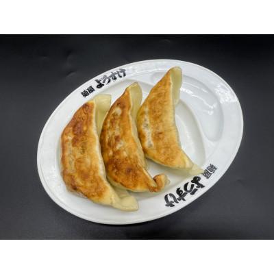 ふるさと納税 佐野市 麺屋ようすけ大餃子10個入り×2袋 : さとふる