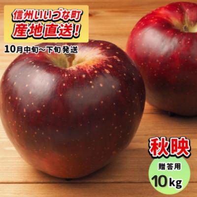 ふるさと納税 飯綱町 りんご 秋映 10月中旬から10月下旬にて発送予定 贈答用 10kg