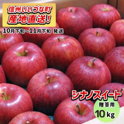ふるさと納税 飯綱町 りんご シナノスイート 10月下旬〜11月下旬で発送予定 贈答用 10kg