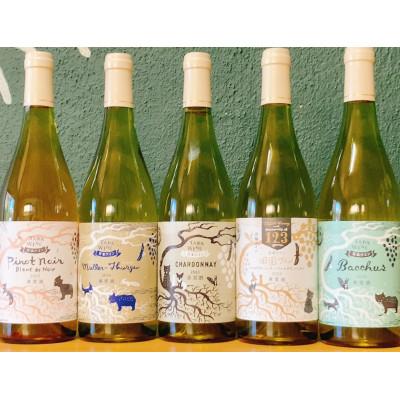 ふるさと納税 上富良野町 [野生酵母&amp;無濾過]辛口白ワイン5本セット 多田ワイナリー