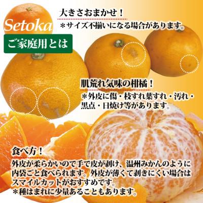 ふるさと納税 伊予市 せとか みかん 訳あり 愛媛産 約2kg ご家庭用