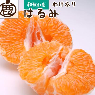 ふるさと納税 上富田町 家庭用 はるみ1kg+250g(傷み補償分)[デコポンの姉妹品種・新食感春みかん][訳あり]