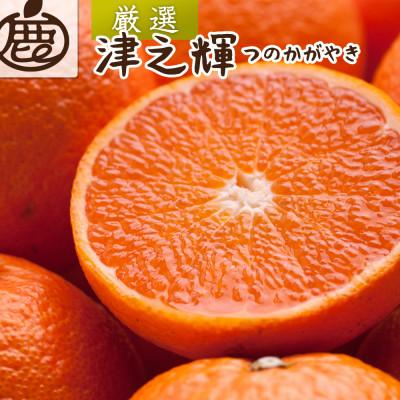 ふるさと納税 美浜町 厳選 津之輝1kg+250g(傷み補償分)[つのかがやき][せとかに似た柑橘][光センサー選果]