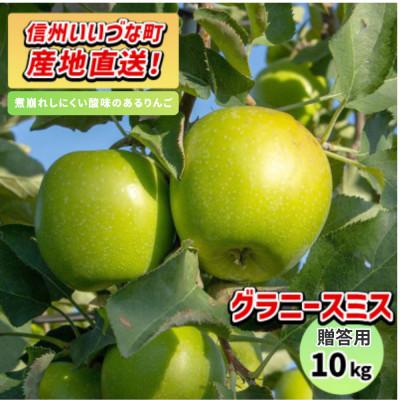 ふるさと納税 飯綱町 りんご グラニースミス 11月下旬より順次発送予定 贈答用 10kg