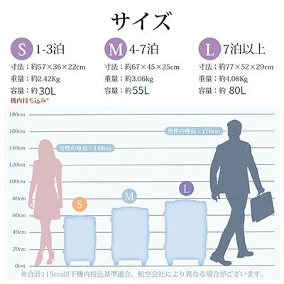 ふるさと納税 さいたま市 スーツケース Sサイズ【ブラック】機内持ち込み可の画像
