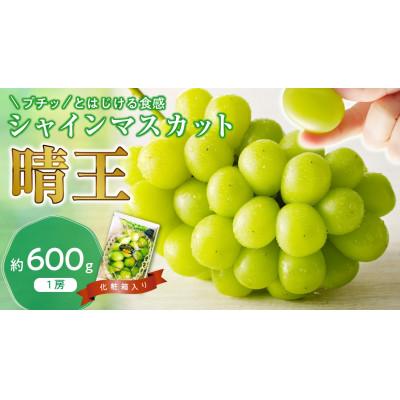 ふるさと納税 備前市 [2026年発送分 先行受付]岡山県産シャインマスカット「晴王」秀品 化粧箱入 1房(約600g)