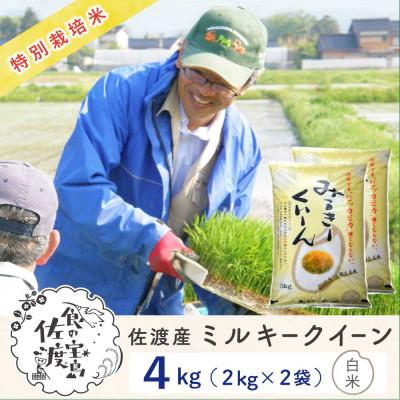 ふるさと納税 佐渡市 [新米予約]佐渡島産ミルキークイーン 白米4Kg(2Kg×2袋) 令和7年 特別栽培米