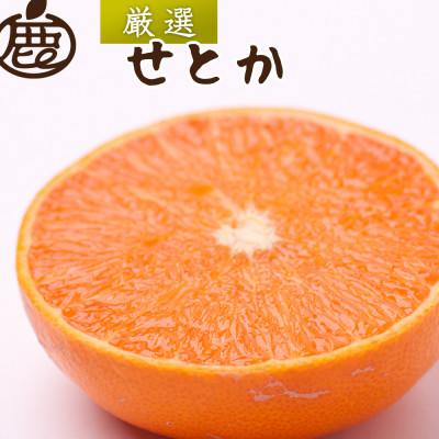 ふるさと納税 美浜町 厳選 せとか1kg+250g(傷み補償分)[柑橘・春みかんの王様][光センサー選果・食べ頃出荷]