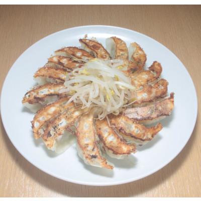 ふるさと納税 浜松市 民民の浜松餃子(50個入り)