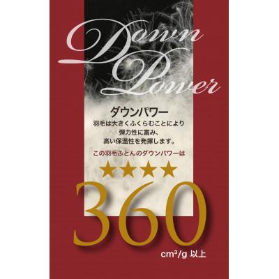 ふるさと納税 泉大津市 SM91900イングランドダックダウン90%掛布団 ダブルサイズ40ツイル_3