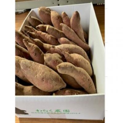 ふるさと納税 津奈木町 [先行受付]紅はるか5kg×1箱(2025年10月下旬頃から順次発送)[わらく農園]