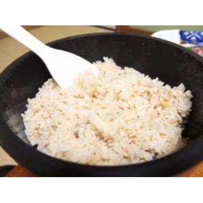 ふるさと納税 高浜町 一皿分の料理はたご屋 由幸のご会席一皿分の料理 お召しあがる券4名様 獲れたての事あたらしいな魚をお刺身で