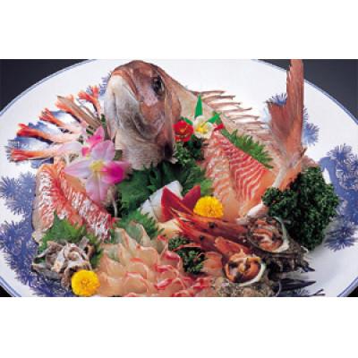 ふるさと納税 高浜町 一皿分の料理はたご屋 由幸のご会席一皿分の料理 お召しあがる券4名様 獲れたての事あたらしいな魚をお刺身で