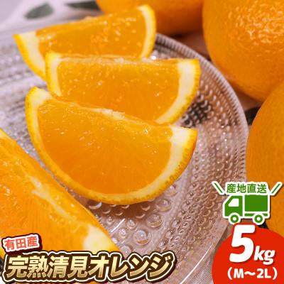 ふるさと納税 北山村 農家直送 完熟清見オレンジ 5kg M〜2Lサイズおまかせ [hdm003A]