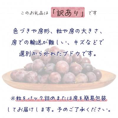 ふるさと納税 新庄村 岡山　花笑み農園の 『訳ありニューピオーネ』1kg　WP-1_1