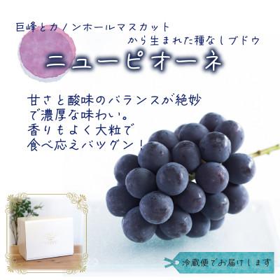 ふるさと納税 新庄村 岡山　花笑み農園の 『訳ありニューピオーネ』1kg　WP-1_2