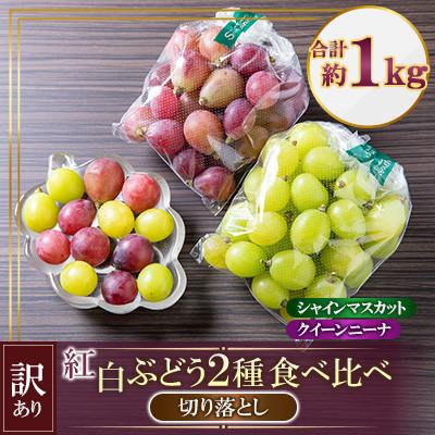 ふるさと納税 山鹿市 [訳あり] 紅白ぶどう2種(シャインマスカット&amp;クイーンニーナ)食べ比べ 切り落とし 計約1kg