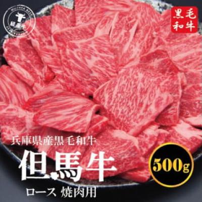 ふるさと納税 市川町 但馬牛経産牛ロース 500g(焼肉用) いちかわ精肉店