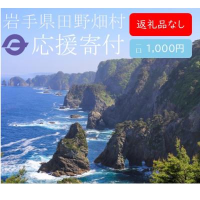ふるさと納税 田野畑村 [返礼品なし]岩手県田野畑村を応援!返礼品なし応援寄付(1口1,000円)