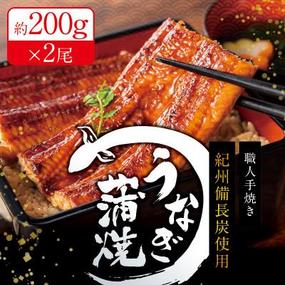 ふるさと納税 北山村 国産 紀州備長炭で焼き上げたうなぎ約200g×2尾セット[fki301A]