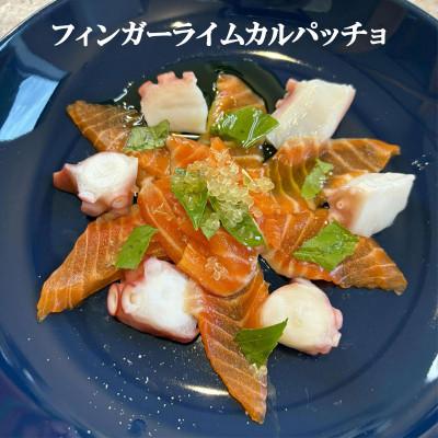 フィンガーライム　おまかせセット　200サイズに詰めれるだけ　10L大苗1本他 ふるさと納税 土佐市 《白木果樹園産》 フィンガーライム おまかせ