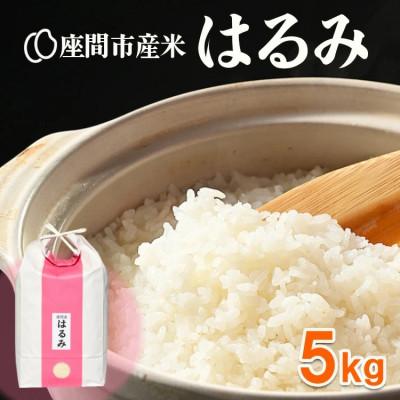 ふるさと納税 座間市 先行予約 座間市産米はるみ(精米)5Kg