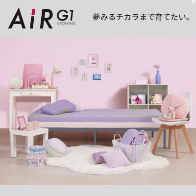 ふるさと納税 近江八幡市 【nishikawa/西川】 AiR[エアー] G1ピロー/ラベンダー_3