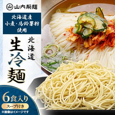 ふるさと納税 江別市 [山内製麺]工場直送!珍しい北海道産小麦・馬鈴薯粉使用プロも認めた北海道生冷麺 6食入り スープ付き