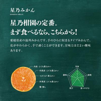 ふるさと納税 八幡浜市 【三つ星ブランド】星乃みかん(5.5kg)【C45-99