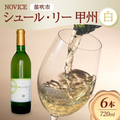 ふるさと納税 笛吹市 白ワイン NOVICE シュール・リー 甲州 720ml×6本 日川中央葡萄酒 山梨県 笛吹市