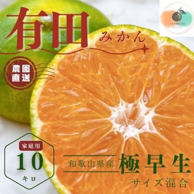 ふるさと納税 有田川町 [先行予約]極早生 家庭用 有田みかん 10キロ [有田川町] サイズ混合
