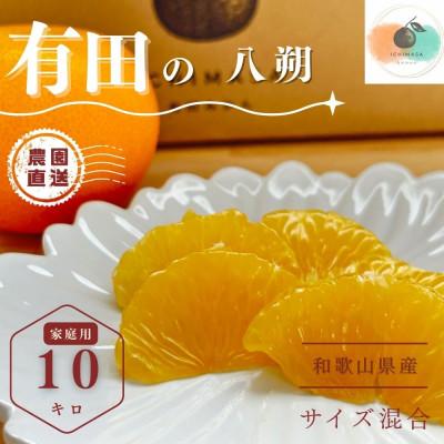 ふるさと納税 有田川町 [先行予約]八朔 家庭用 有田の八朔 10キロ [和歌山県] サイズ混合